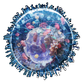 EZPAYǮ����(�й���)-�ٷ���վ